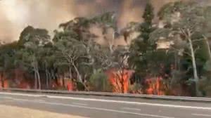 Reprodução/NSW Rural Fire Service