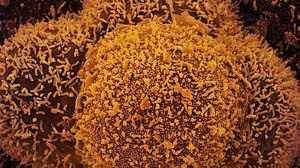 Foto: Reprodução/Agência Brasil