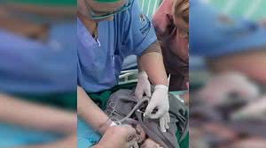 Reprodução - Prefeitura de Sorocaba