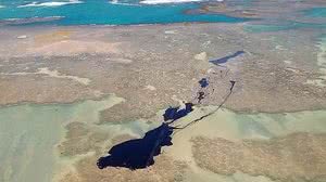 Mancha de óleo na região de São José da Coroa Grande | Reprodução / TV Globo