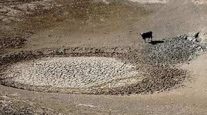 Situação de seca volta a atingir cidades do Nordeste | USDA