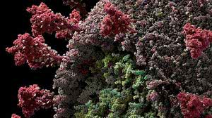 Foto: Reprodução/Visual Science