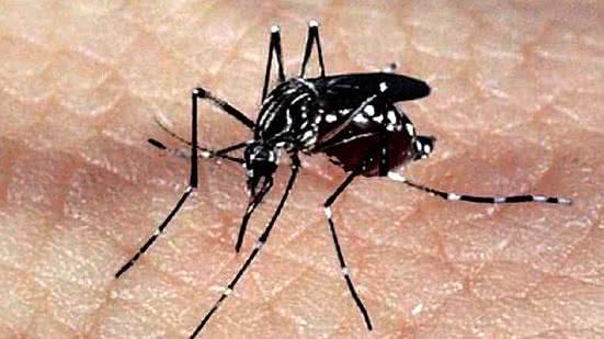 Para participar dos testes é obrigatória a autorização dos pais ou responsáveis. | Foto: Arquivo/Agência Brasil