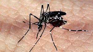 Para participar dos testes é obrigatória a autorização dos pais ou responsáveis. | Foto: Arquivo/Agência Brasil