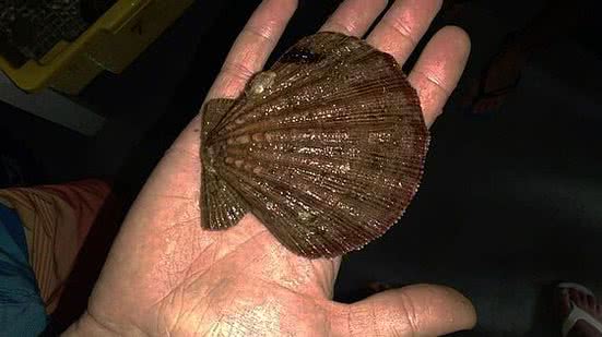 Foto: João Bruno Valentim / Reprodução