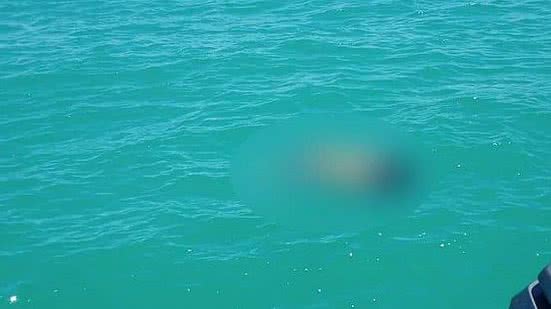 Corpo da criança foi encontrado no mar e resgatado por bombeiros em embarcação | Reprodução