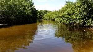 Foto: Arquivo Agência Alagoas