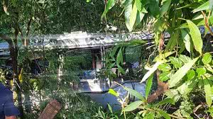 Foto: Reprodução/RPC