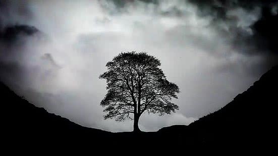 Deja Vu Photography / Shutterstock