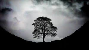 Deja Vu Photography / Shutterstock