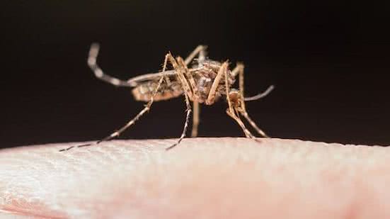 Ilustração | Foto: Freepik