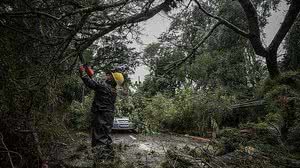 Divulgação / Prefeitura POA