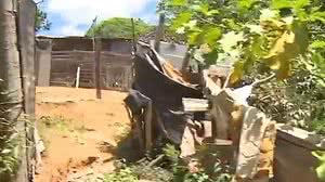 Imagem Quatro motoristas de aplicativos são torturados e assassinados em Salvador