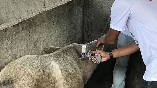 Foto: Divulgação/Ascom Adeal