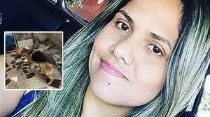 Imagem Justiça multa enfermeira que atropelou cães no MA; um morreu
