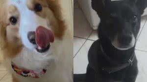 Foto: Arquivo pessoal