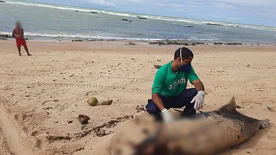 Divulgação / Biota