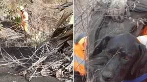 Foto: Divulgação/CBM-MG