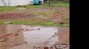 Entrega de sofá com guindaste no Distrito Federal provocou briga entre moradores nas redes sociais | Foto: Reprodução