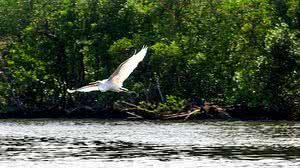 Tânia Rêgo / Agência Brasil