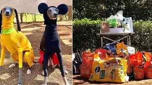 Reprodução Instagram