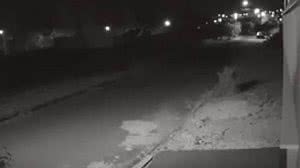 Reprodução / Exoss