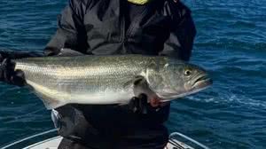 Foto: Redes sociais/Divulgação