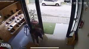 Reprodução/ValènciaDiari