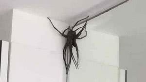 Reprodução / Facebook