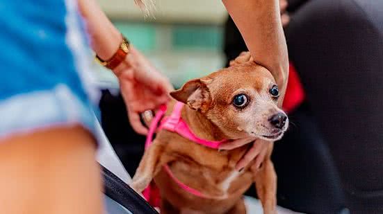 Foto: Joyce Juliana/Ascom DMTT