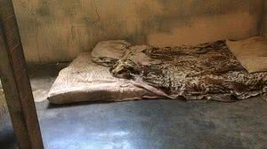 Imagem Criança de seis anos agredida em Porto Real foi torturada por dias, diz Polícia Civil