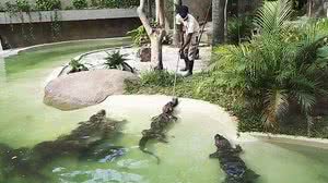 Beth Santos / Prefeitura do Rio de Janeiro