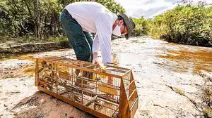 Ministério do Meio Ambiente