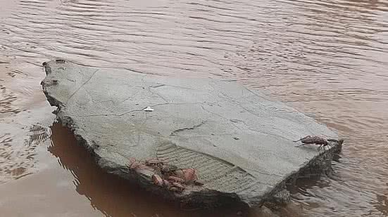 Reprodução/Rede Social