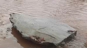 Reprodução/Rede Social