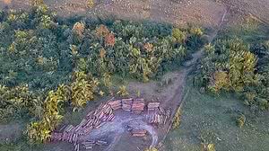 Felipe Wernek / Ibama