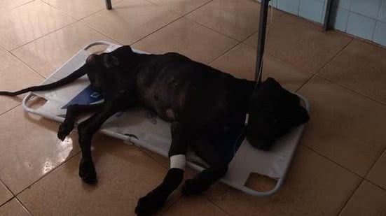 Divulgação/Bombeiros