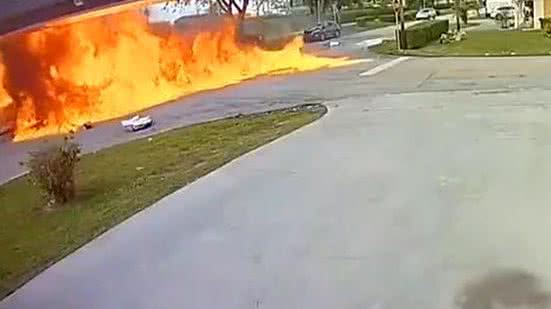 Reprodução/7News Miami