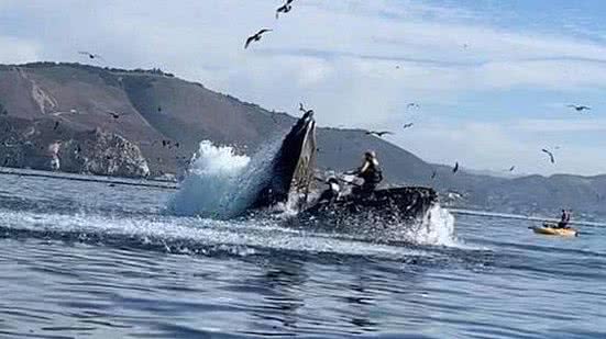 Reprodução /Twitter KMPHFox26