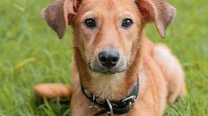 Victor Vercant/Secom Maceió