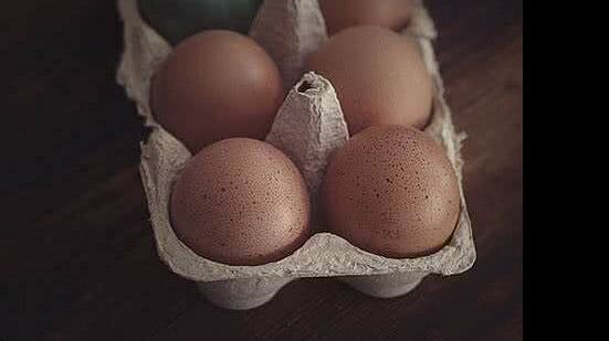 Foto: Reprodução/Pixabay