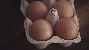 Foto: Reprodução/Pixabay