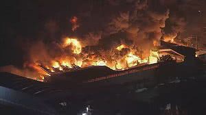 Reprodução/TV Globo