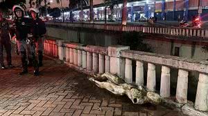 Reprodução/Facebook QRU News