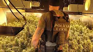 Polícia Civil / Divulgação