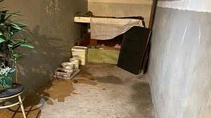 Área externa da casa onde o homem matou os nove filhotes de cachorro | Foto: Reprodução