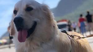 Foto: Reprodução/Redes Sociais