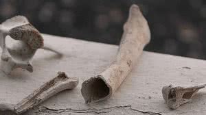 Unsplash/Philipp Förster