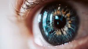 Reprodução/Freepik