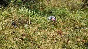 Ewerton Silva/7Segundos